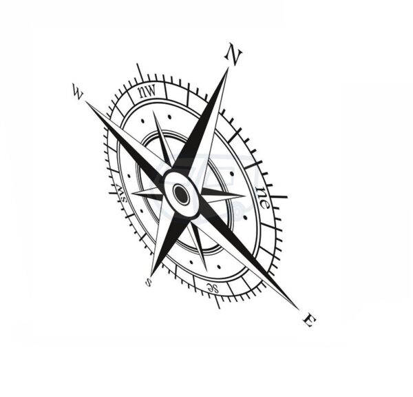 Rosa · perspectiva 1