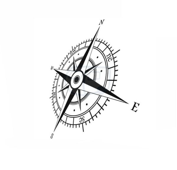 Rosa · perspectiva 2