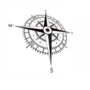 Rosa · perspectiva 3