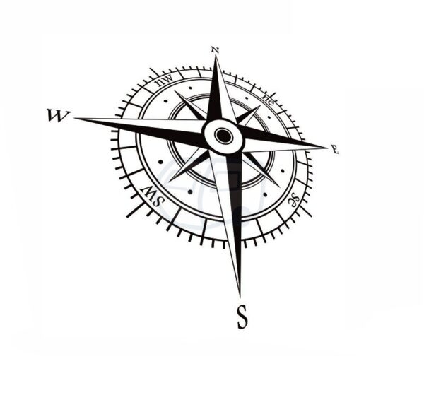 Rosa · perspectiva 3