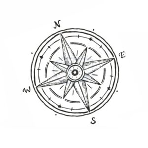 Rosa · clásica 6