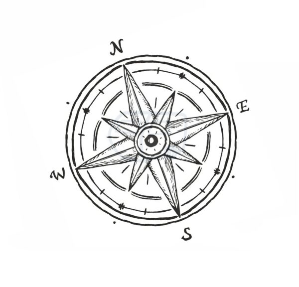 Rosa · clásica 6