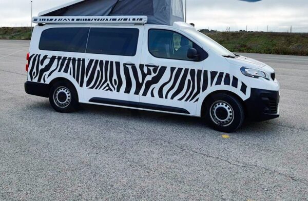 Decoración furgo camper Spacetourer - Jumpy -Traveller - Expert - Proace - Vivaro.
