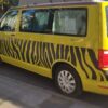 Decoración furgo camper Volkswagen T5