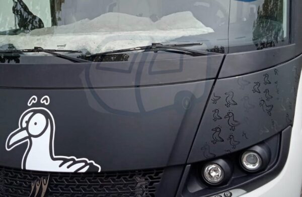 Decoración autocaravana Rapido