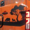 Decoración furgo camper Crafter, MAN TGE